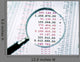Negative Numbers Focus