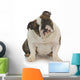 English Bulldog Wall Mural