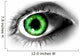 Abstract Green Eye Wall Decal