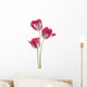 Tulip Wall Decal