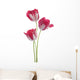Tulip Wall Decal