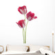 Tulip Wall Decal