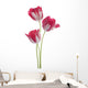 Tulip Wall Decal