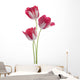 Tulip Wall Decal