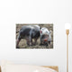 Two little pig Wall Mural