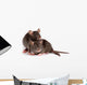 Two Rats Wall Decal