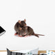 Two Rats Wall Decal