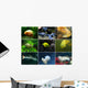 Aquarium Wall Mural