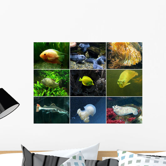 Aquarium Wall Mural