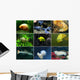 Aquarium Wall Mural