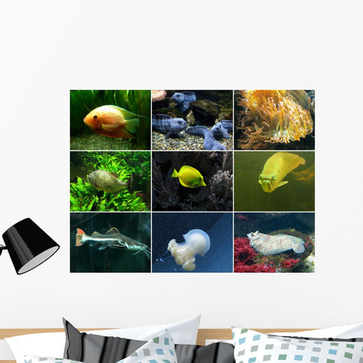 Aquarium Wall Mural