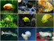 Aquarium Wall Mural