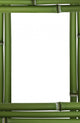 Green Bamboo Leaves and