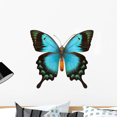 Blue Butterfly shown on a wall
