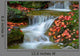 Brook Autumn