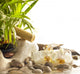 Orchids and Zen Stones