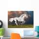 White Horse Runs Dark