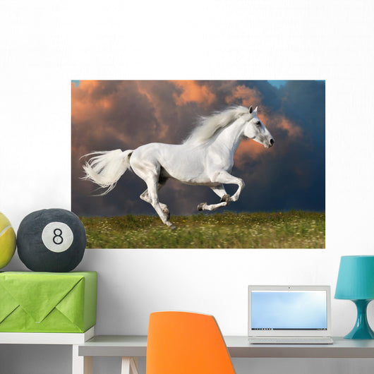 White Horse Runs Dark
