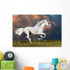 White Horse Runs Dark