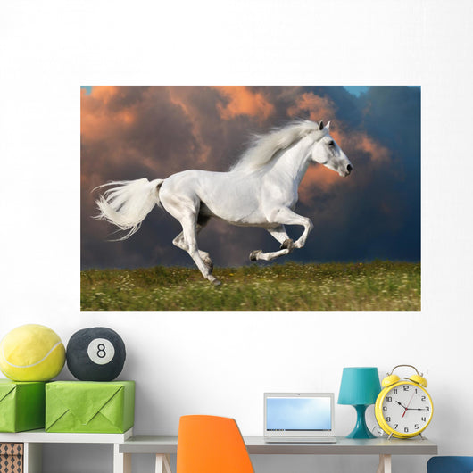 White Horse Runs Dark