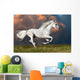 White Horse Runs Dark