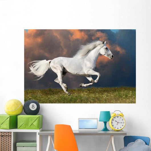 White Horse Runs Dark