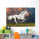 White Horse Runs Dark