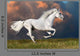 White Horse Runs Dark