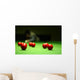 Snooker player Wall Mural