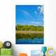Natural Reflections on a Lake and Beautiful Sky Wall Mural