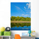 Natural Reflections on a Lake and Beautiful Sky Wall Mural