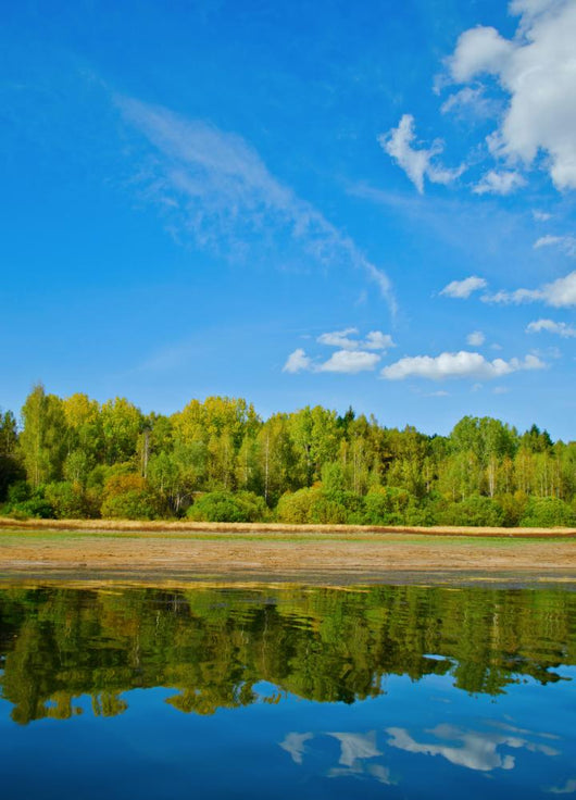Natural Reflections on a Lake and Beautiful Sky Wall Mural