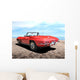 Classic American Sportscar Wall Mural