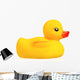 Rubber Duck