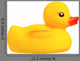 Rubber Duck