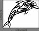 Black and White Dolphin