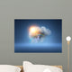 All Weather Cloud
