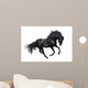 Black Stallion Motion