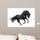 Black Stallion Motion