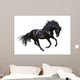 Black Stallion Motion
