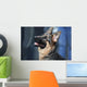 German Shepherd Dog Wall Mural