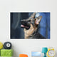 German Shepherd Dog Wall Mural