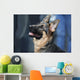 German Shepherd Dog Wall Mural