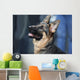 German Shepherd Dog Wall Mural