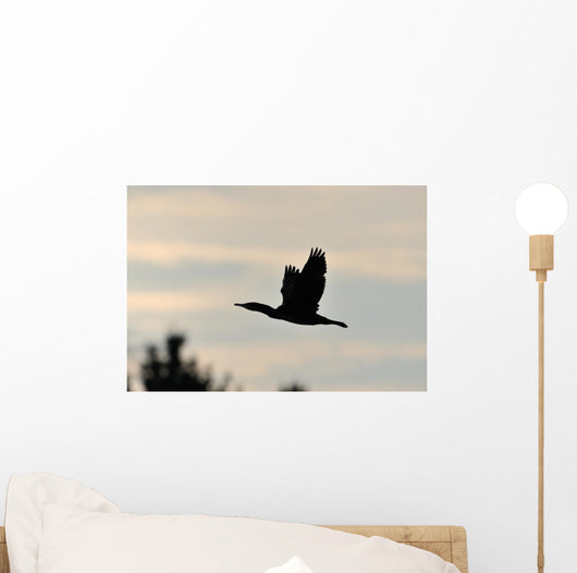 Cormorant in Flight Wall Mural