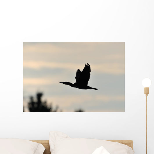 Cormorant in Flight Wall Mural