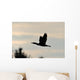 Cormorant in Flight Wall Mural