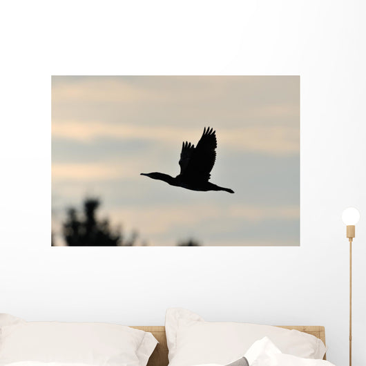 Cormorant in Flight Wall Mural
