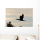Cormorant in Flight Wall Mural