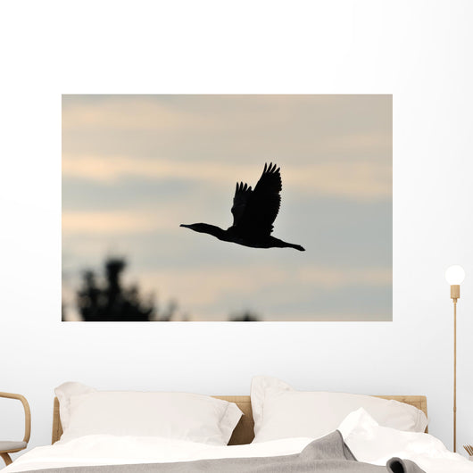 Cormorant in Flight Wall Mural